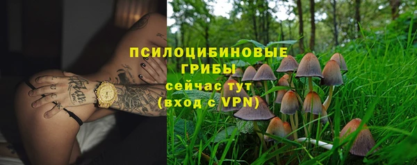 MDMA Premium VHQ Аркадак